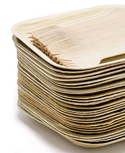 Ecodesign Disposable 50-Piece Palm Leaf Dinnerware - Appetizer Sides Dessert 7