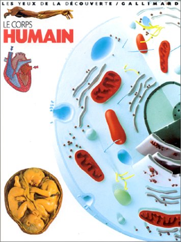 Le  corps humain