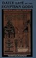 Daily Life of the Egyptian Gods (9780801482489) Meeks