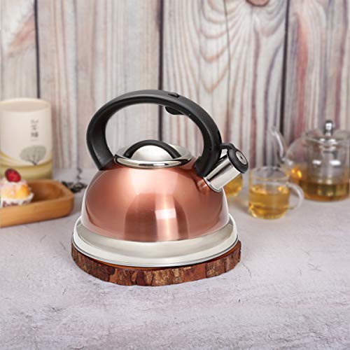 Creative Home 77066 Alexa Stainless Steel Whistling Tea Kettle with