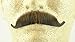 European Moustache MEDIUM BROWN - Spirit Gum Included! - 100% Human Hair - no. 2012 - REALISTIC! Perfect for Theater - Reusable!