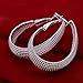 Newtrip 925 Sterling Silver Fashion Classic Big Hoop Drop Dangle Earring, Style5