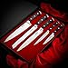 Knife Set,Kitchen Knife Set - Bluesim 5 Piece Matt Black Handle Knives Sets Including Carving Utility Chef and Paring Knives,Chef Knife Set with Gift Box Packaging (knife set 2)