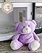 WILD BABY Purple Bear Microwaveable Stuffed Animal - Heatable Plush Pal with Aromatherapy Lavender Scent for Babies and Kids - 10