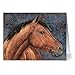Note Card Cafe All Occasion Greeting Card with Kraft Envelopes | 36 Pack | Blank Inside, Glossy Finish | 6 Various Honorable Horses Designs | Bulk Set for Grandson, Corporate, Friends