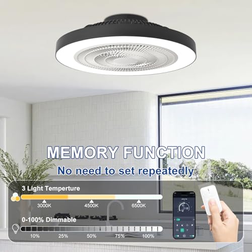 Depuley Recessed Ceiling Fan: 20 inch Discreet Ceiling Fans for Bedroom with Lighting - Application and Remote Control Black Bladeless Fan for Kitchen