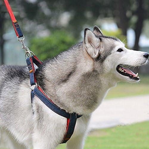 Dog Leash Harness Set, Adjustable Heavy Duty Denim Harness Leash Set for Large/Medium/Small/Extra-Small Pet Training &amp; Everyday Walking (Large)