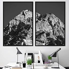 signwin 2 Piece Framed Canvas Wall Art Monochromatic...
