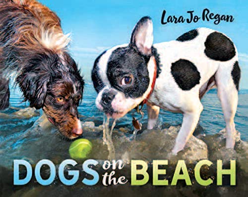 Dogs on the Beach (Best Dog Breed For Your Personality)