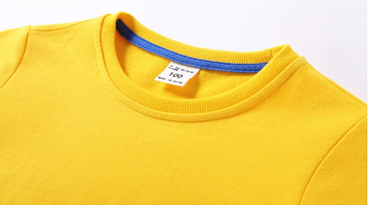 GD-SportBX Girls Boys Ninjago Pullover Sweatshirt Toddler Kids Crewneck Cotton Tops