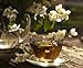 WORLDS MOST FRAGRANT JASMINE Night Jasmine 25+ seeds