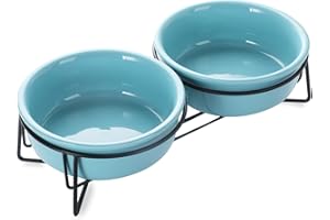 GDCZ Ceramics Raised Cat Bowls with Heighten Metal Stand for Pet Food and Water Dishes, 15 Ounces (Turquoise)