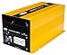 Go Power! GP-SW2000-12 2000-Watt Pure Sine Wave Inverter , Yellow