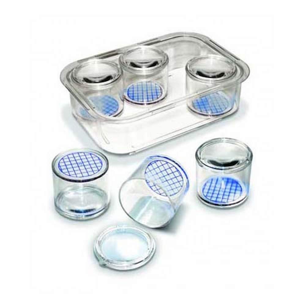 Invicta Education Young Naturalist - x6 Bug Pots and Clear Tray IP174059