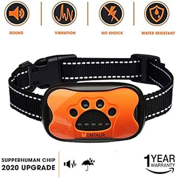 barkwise ultrasonic collar