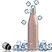 Ezisoul Insulated Stainless Steel Sports Water Bottle - No Leaks, Sweating or Toxins - Matte Mist - 17oz