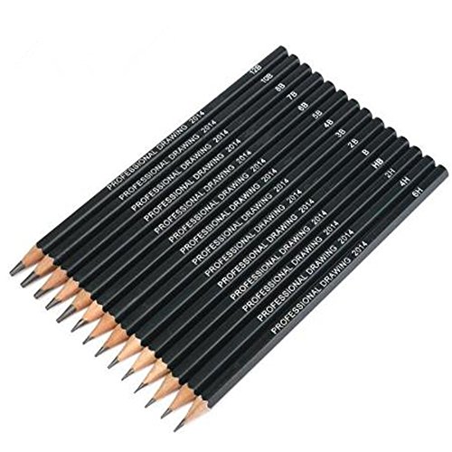 Koolemon Graphite Sketching Pencils Professional Sketch Pencils Set 12B 10B 8B 7B 6B 5B 4B 3B 2B 1B 2H HB,Pack of 14