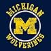 UGP Campus Apparel AS04 - Michigan Wolverines Distressed Circle Logo T Shirt Large Navy