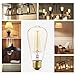 Ambimall Floor Lamps, 60W ST64 Dimmable Incandescent Glass Vintage Light, Amber Warm, 2200K, E26 Medium Base Antique Light Squirrel Cage Filament Lamp