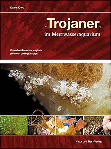 Trojaner Im Meerwasseraquarium Unerwunschte Aquariengaste Erkennen Und Bekampfen Ntv Meerwasseraquaristik Amazon De Knop Daniel Bucher