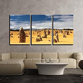 Landscape with Various Stones in The Desert x3 Panels