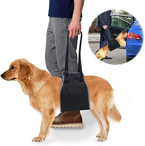 Dog Lift Support Sling & Rehab Harness, Soft Assist & Adjustable Nylon Straps Helps Pet for Arthritis, Poor Stability,Joint Injuries, Rehabilitation Mobility,Recovery, Medium:25-55lb, Large:55-77lb
