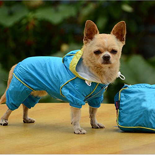 shih tzu raincoat