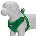 Blueberry Pet 4 Colors Better Basic Dog Harness Vest, Emerald Green, Chest Girth 17