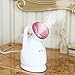 KINGDOMBEAUTY Nanosteamer Hot Mist Moisturizing Nano Ionic Facial
