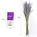 EMISH Dried Lavender Bundles - Freshly Harvested Real 100% Natural Lavender Bunch for DIY Home Office Party Wedding Decor