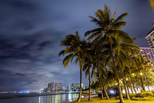 Palm trees in front of hotels with lights reflecting off the water at night at Kuhio Beach (aka"Walls") in Waikiki, Oahu, Hawaii print picture photo photograph fine art