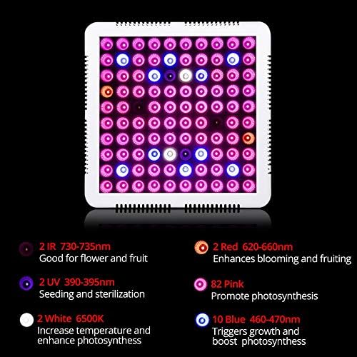 300wフルスペクトルメイン植物は 屋内植物保育園の花の果実植物の水