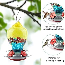 WOSIBO Hummingbird Feeder for Outdoors Patio Large