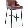Burnham Home Parlor Upholstered Bar Stool, Desert Red