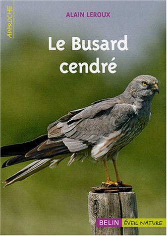 Le  busard cendré