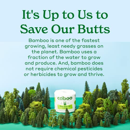 Caboo Tree Free Bamboo Toilet Paper, Septic Safe, Biodegradable, Eco