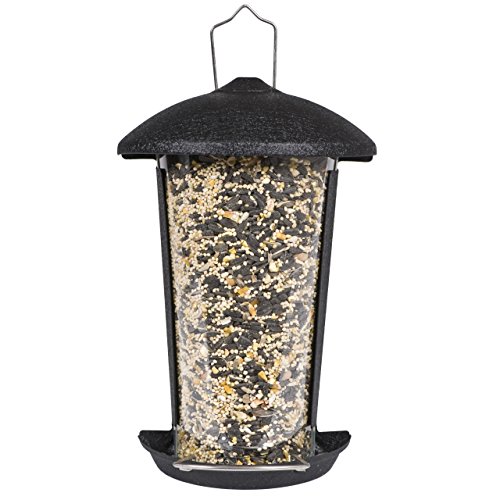 Perky Pet PerkyPet 1015 Wall And Post Mount Wild Bird Feeder 1015