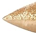 Kevin Textile Sequin Decor Throw Pillow Sham Cover Stylish Sparkling Square 18