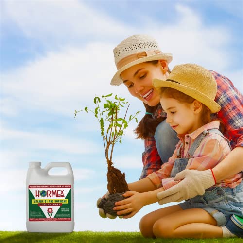 Hormex Vitamin B1 Rooting Hormone Concentrate Rooting Hormone For Hydroponics, Aeroponics