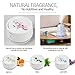 Innoo Tech IN10-C001 Ultrasonic Cool Table Lamp Humidifiers | Automatic Shut-Off | Night Light Function | 360 Degree Rotatable Mist Outlets | 2.0L, White