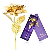ZJchao Gold Foil Rose Flowers 10