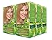Naturtint 8G Sandy Golden Blonde Permanent Hair Color (Pack of 6), Ammonia Free, Vegan, Cruelty Free, up to 100% Gray Coverage, Long Lasting Results (Packaging may vary)