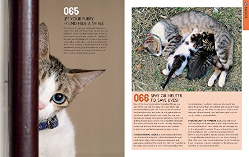 The-Total-Cat-Manual-Meet-Love-and-Care-for-Your-New-Best-Friend