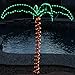 Green LongLife 4.5-Feet Decorative Lighted Palm Tree - Holographic Rope Light for Indoor and Outdoor Use