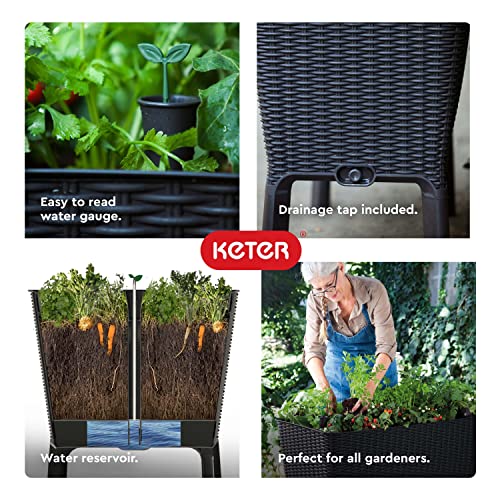 Keter Easy Grow 31.7 Gallon Raised Garden Bed with Self Watering Planter Box and Drainage Plug