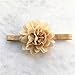 LD DRESS Cute baby elastic headband (champagne)