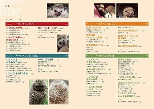 ハリネズミ 飼育 グッズ