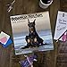 2020 Doberman Pinschers 16 Month 12 x 12 Wall Calendar by Bright Day Calendars (Doberman Pinschers 2019)