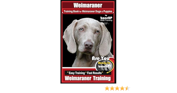 weimaraner puppy training