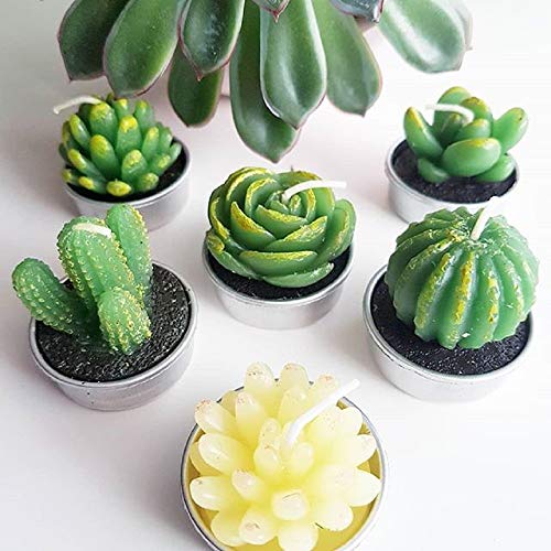 image for LA BELLEFÉE Cactus Tealight Candles, Decorative Delicate Succulent Ha